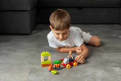 LEGO Icons: sets para adultos y coleccionistas