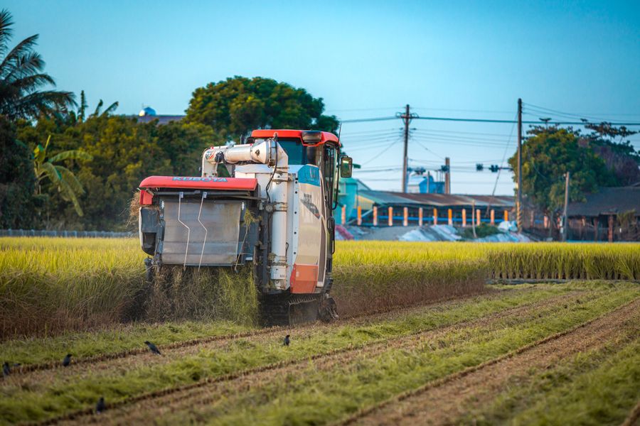 Cosechadora autónoma en campo agrícola