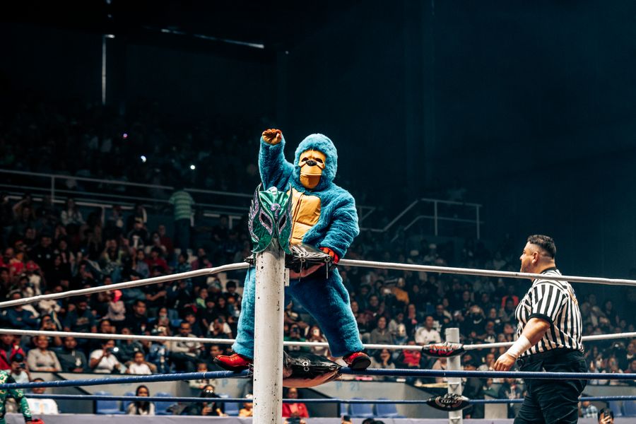 Mascotas de lucha libre mexicana