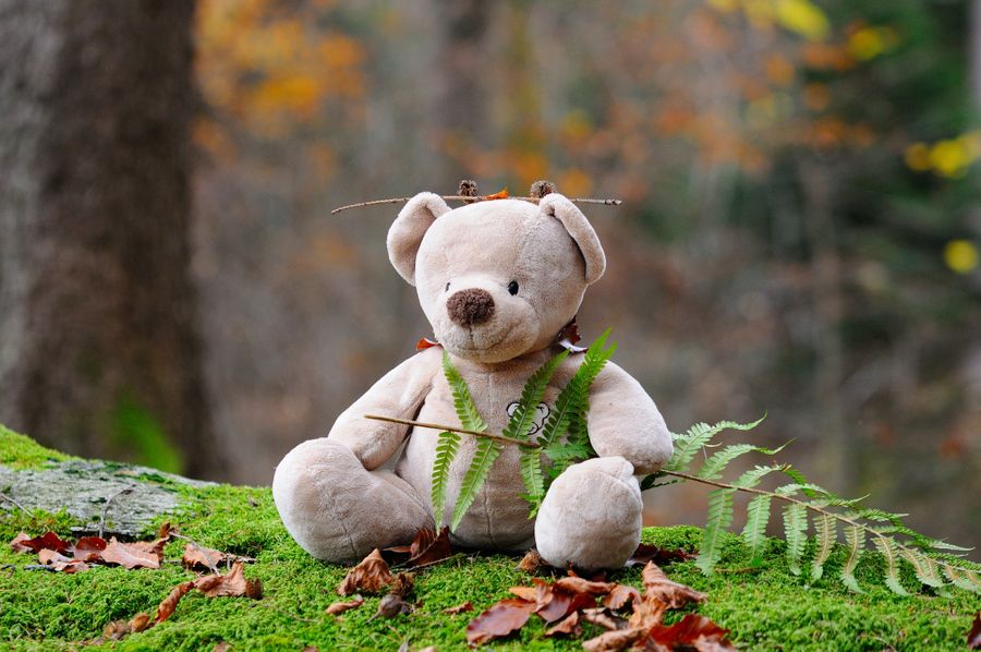 Peluches sostenibles con materiales ecológicos